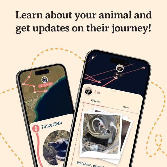 Elastic Penguin Tracking Bracelet, Sky Stone Color, Men's & Women's Fit, Support - Picture 5 of 7